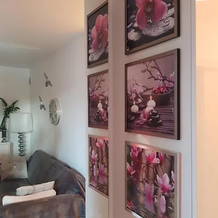 Luksusowy Na Promenadzie Appartamento *