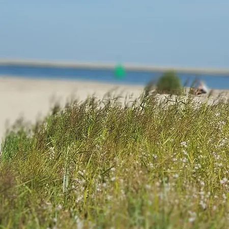 Luksusowy Na Promenadzie * Svinoústí